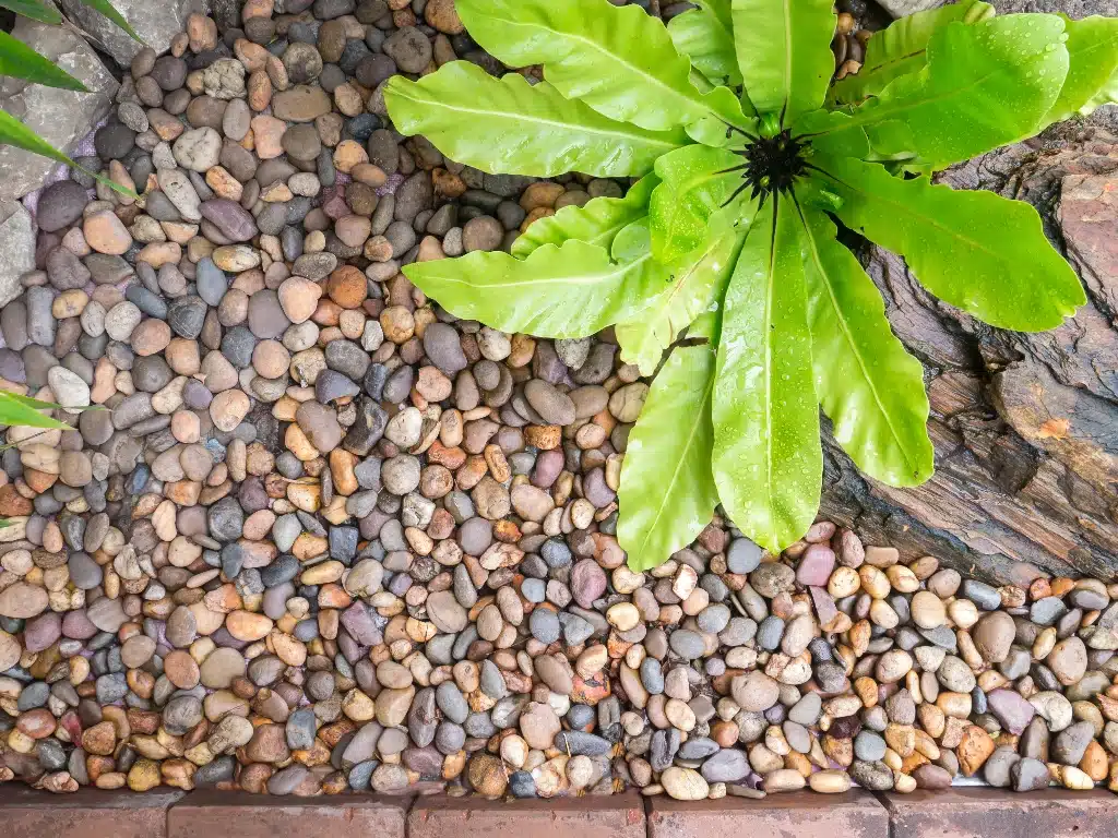 Chic Rock Flowerbed Conversion