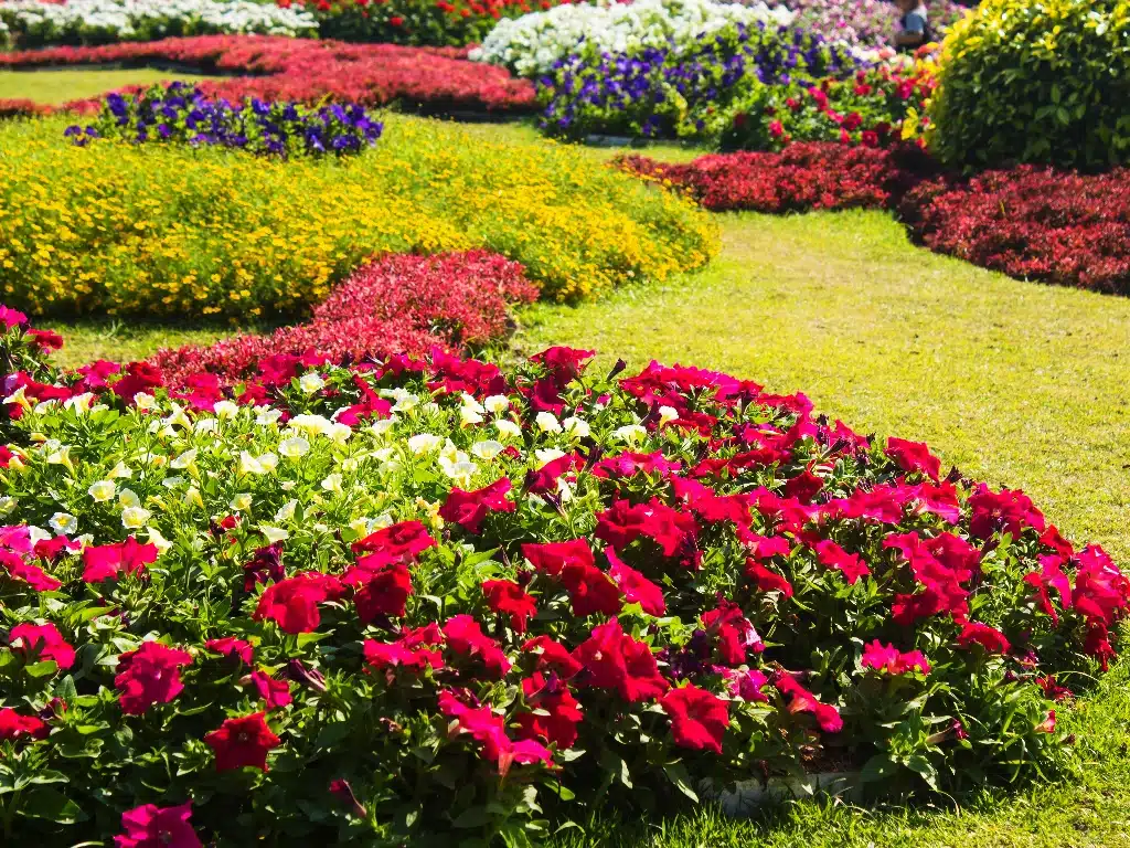 Additional Commercial Landscaping Options