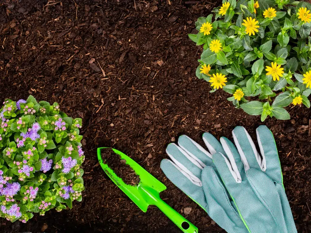 Opulent Mulch Pinestraw